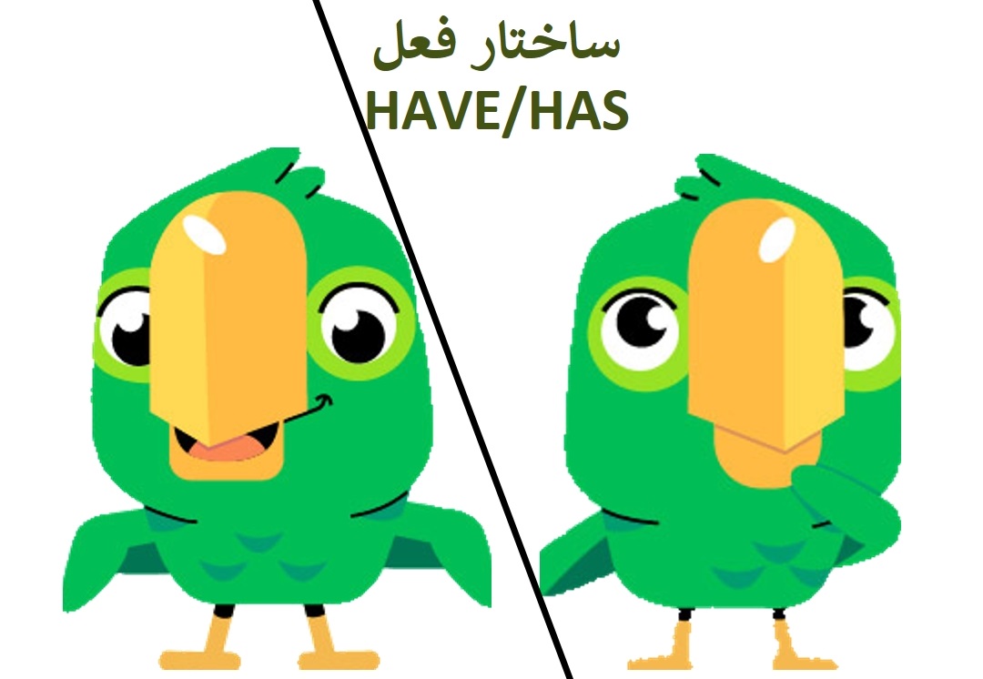 صفر تا صد ساختار فعل Have/Has (داشتن) در انگلیسی + مثال