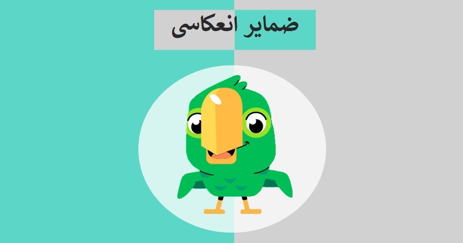 راهنمای صفر تا 100 ضمایر انعکاسی زبان انگلیسی + مثالهای متعدد