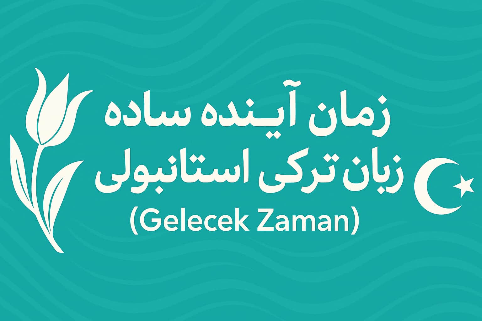 زمان آینده ساده زبان ترکی استانبولی (Gelecek Zaman)