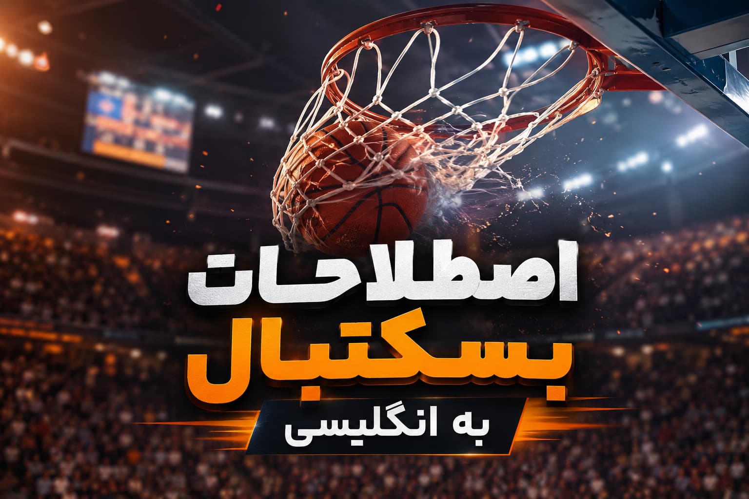 اصطلاحات بسکتبال به انگلیسی | لیست پرکاربرد + مثال