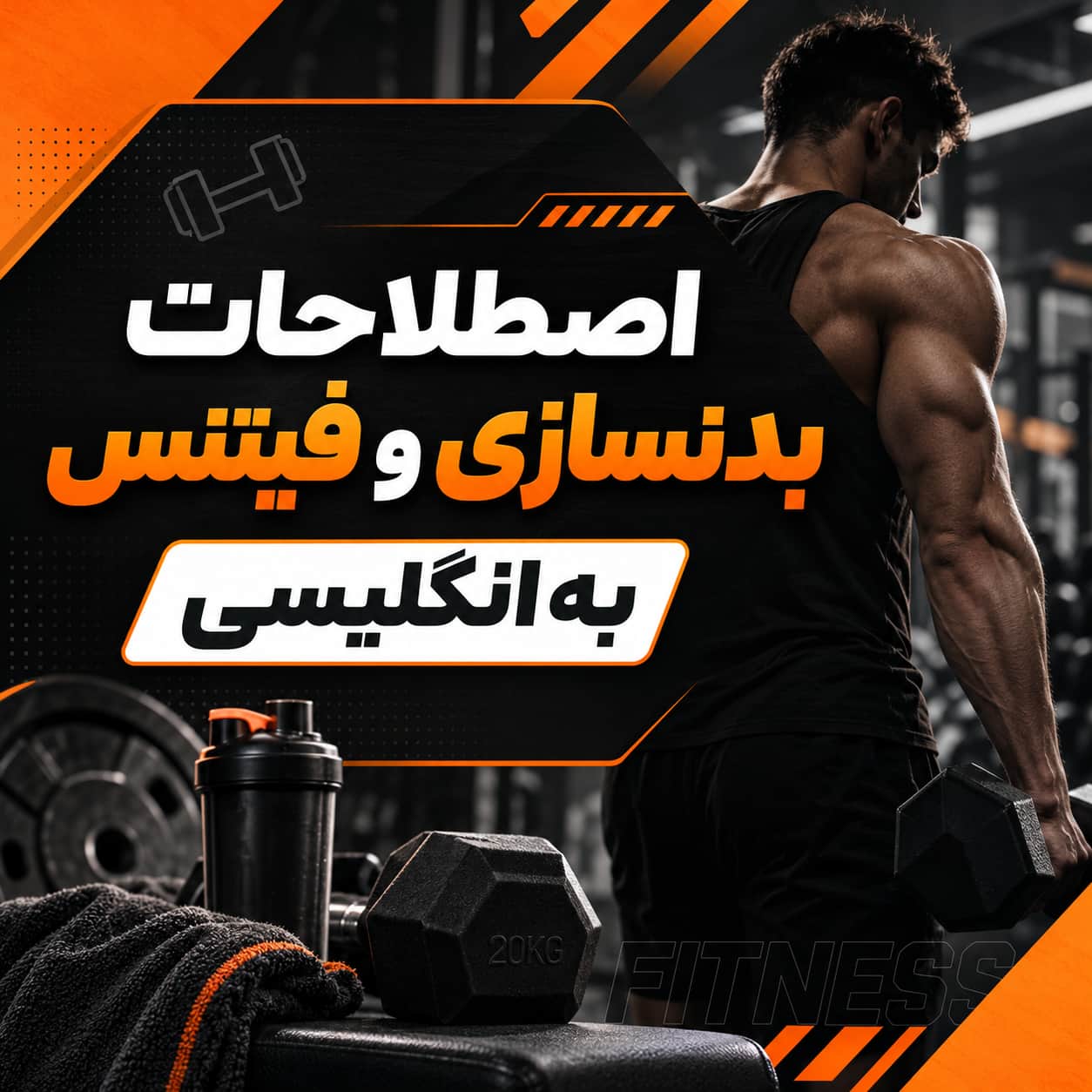 اصطلاحات بدنسازی و فیتنس به انگلیسی